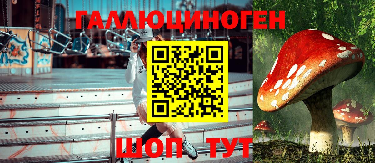 Псилоцибиновые грибы Magic Shrooms  Вход с VPN  дарнет шоп  Псилоцибиновые грибы Psilocybine cubensis  Губкин 