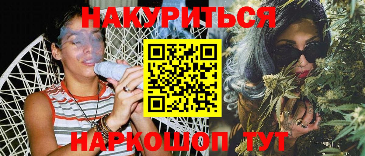 Каннабис планчик Губкин